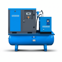 Винтовой компрессор Hansmann RSA 5.5-8-500DR IP23 в Москве | DILEKS.RU