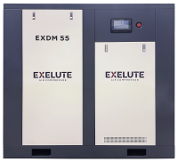Винтовой компрессор EXELUTE EXDM 160/12 в Москве | DILEKS.RU
