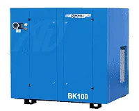 Винтовой компрессор REMEZA ВК100-13-BC в Москве | DILEKS.RU