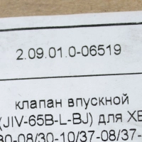 Анонс фото Впускной клапан 2.09.01.0-06519
