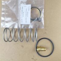 Анонс фото Комплект ремонтный клапана термостатического VTFT 50-55-57/71° 270.1680