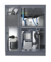 Винтовой компрессор Atlas Copco GA11 VSD+13FF в Москве | DILEKS.RU