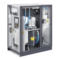 Винтовой компрессор Atlas Copco GA55 VSD+13FF в Москве | DILEKS.RU